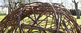 Große Weidenkugel im Garten